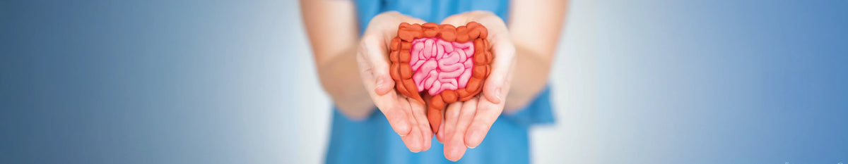 Decode biome test for personalised health, better gut and overall health