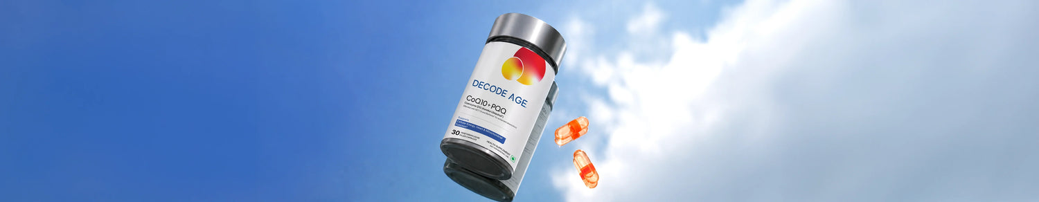 coq10 with pqq supplement