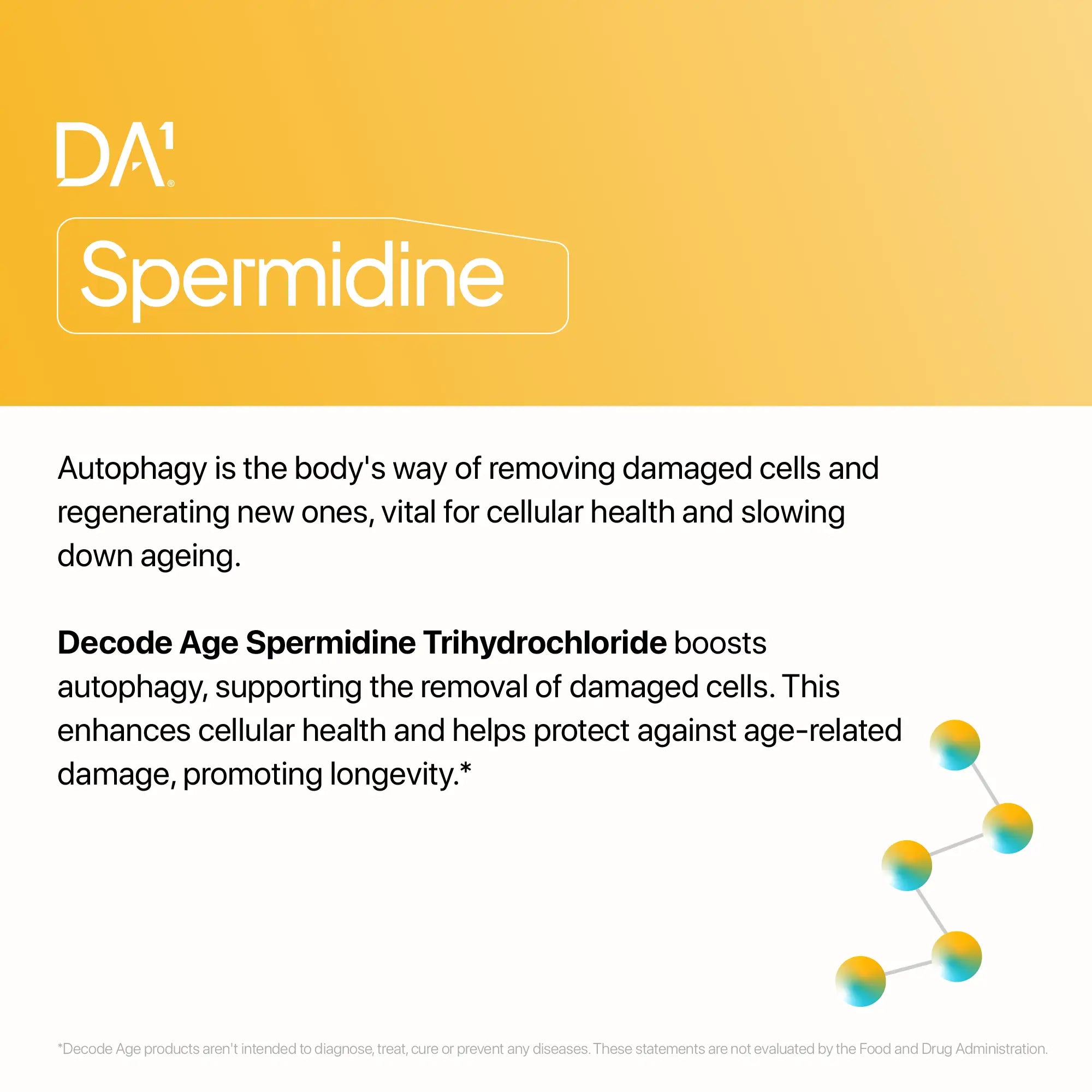 Improve Skin, Hair, and Heart Health with Spermidine by Decode Age