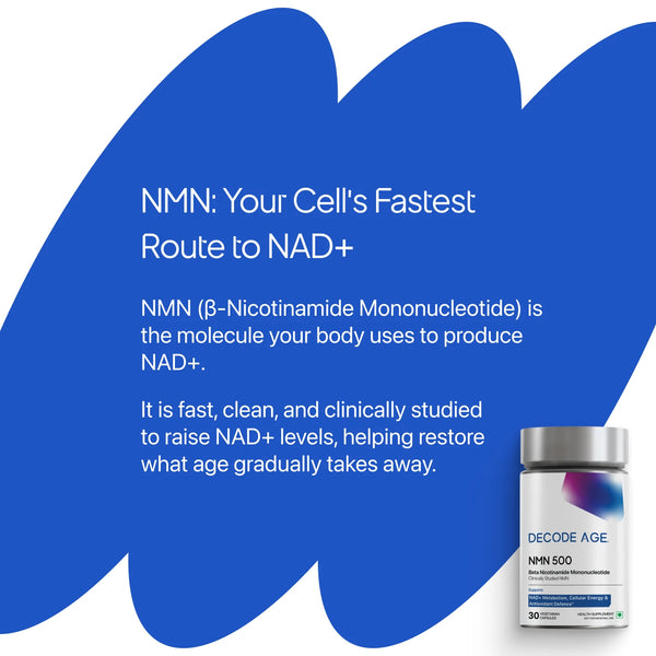 β- NMN | Beta-Nicotinamide Mononucleotide | 500mg