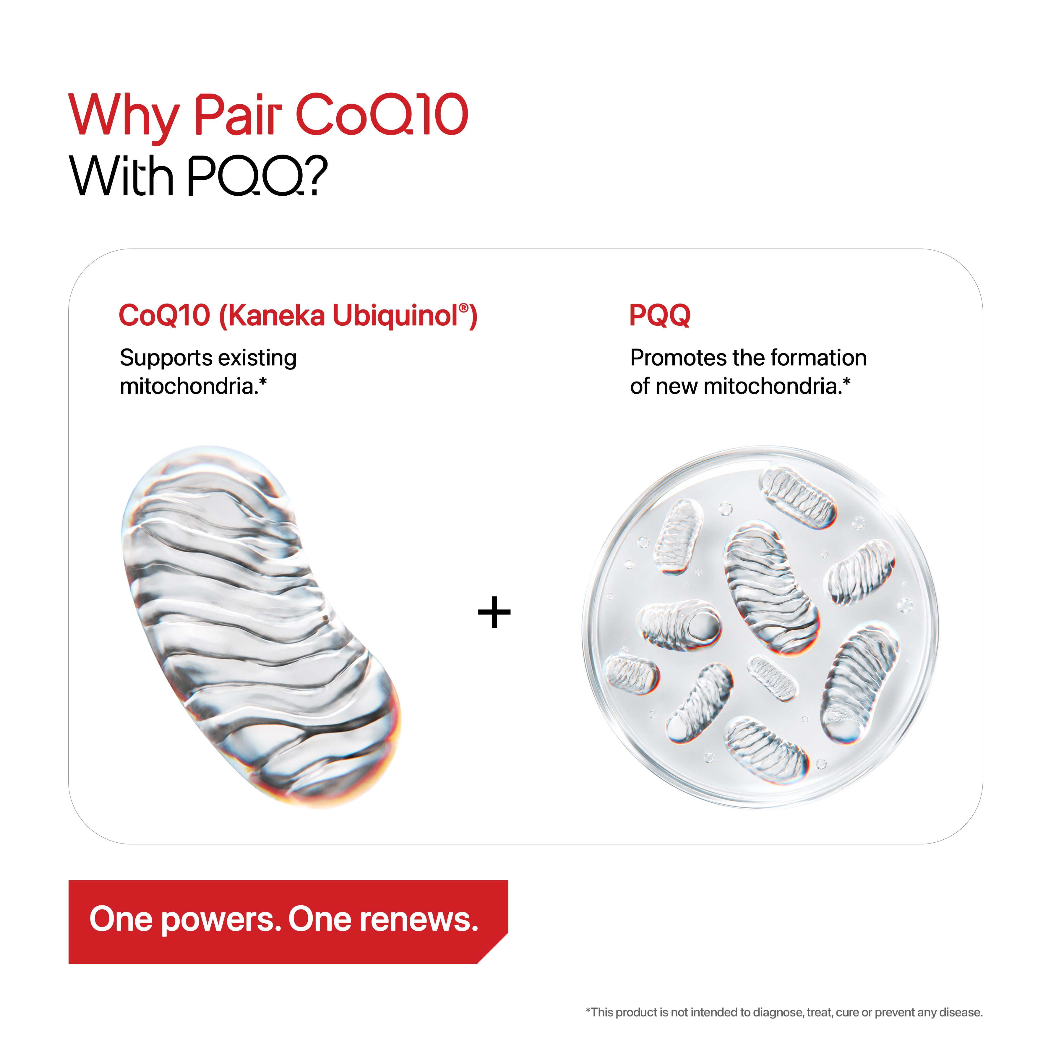 CoQ10 with PQQ | Coenzyme Q10 (Kaneka Ubiquinol®)