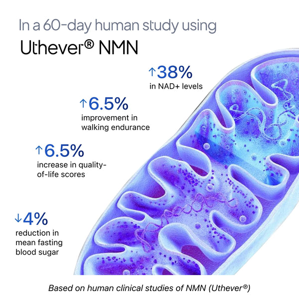 β- NMN | Beta-Nicotinamide Mononucleotide | 250mg