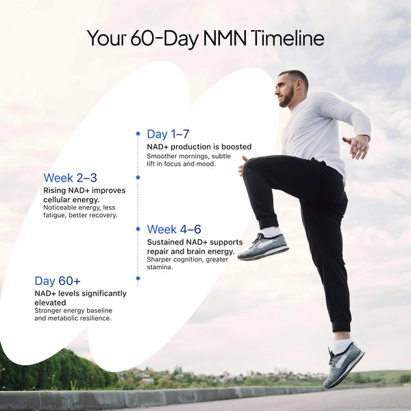 β- NMN | Beta-Nicotinamide Mononucleotide | 250mg