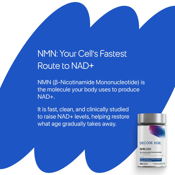 β- NMN | Beta-Nicotinamide Mononucleotide | 250mg