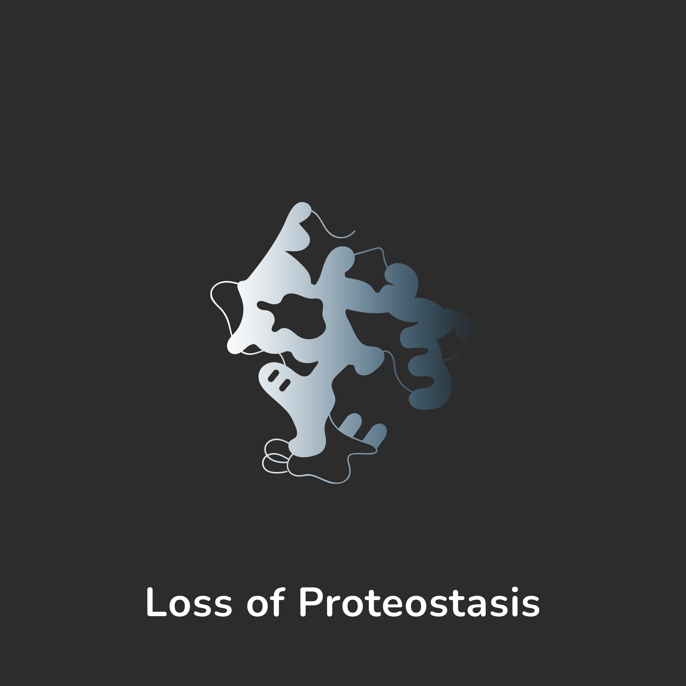 Aging Hallmark - Loss of Proteostasis