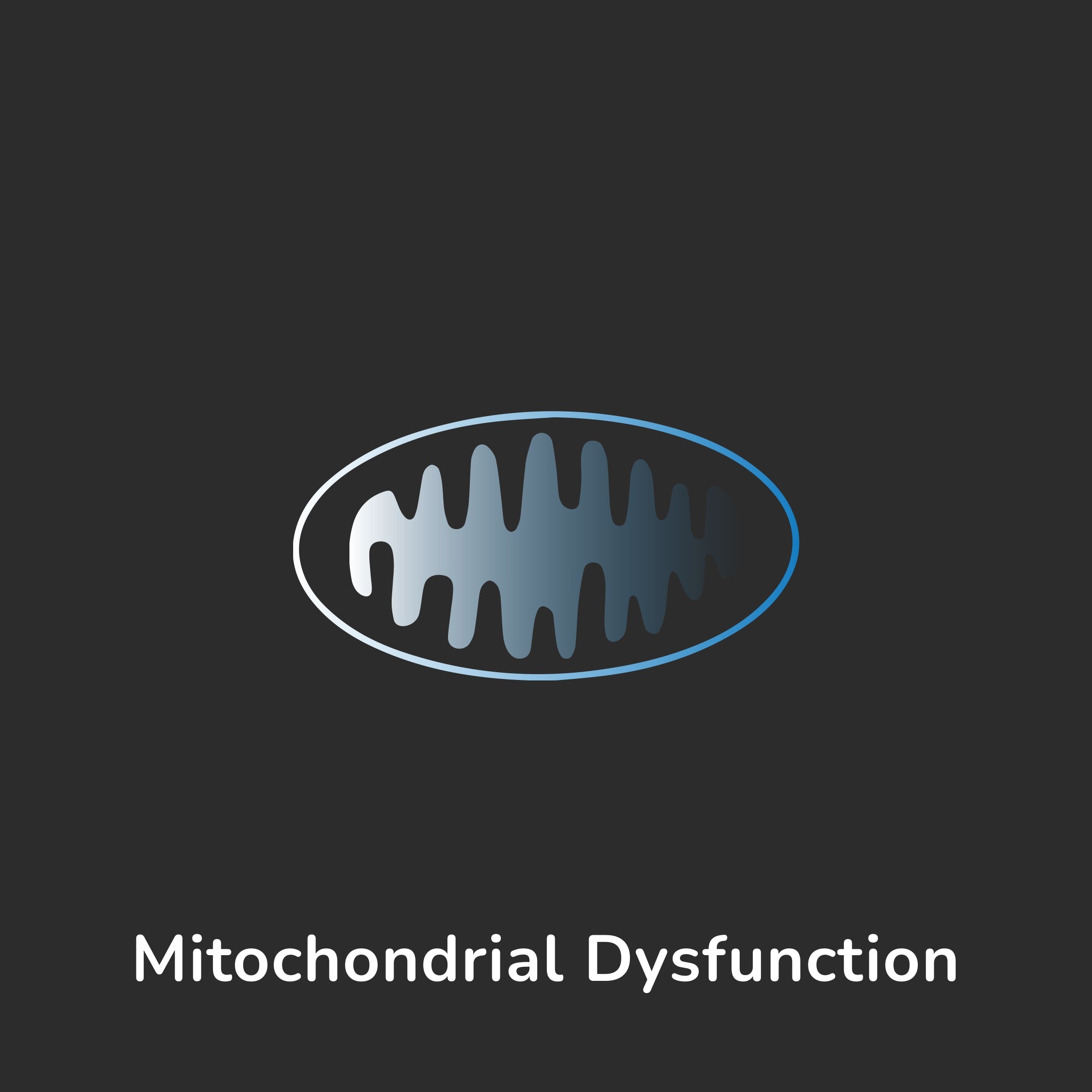 Aging Hallmark - Mitochuondrial Dysfunction