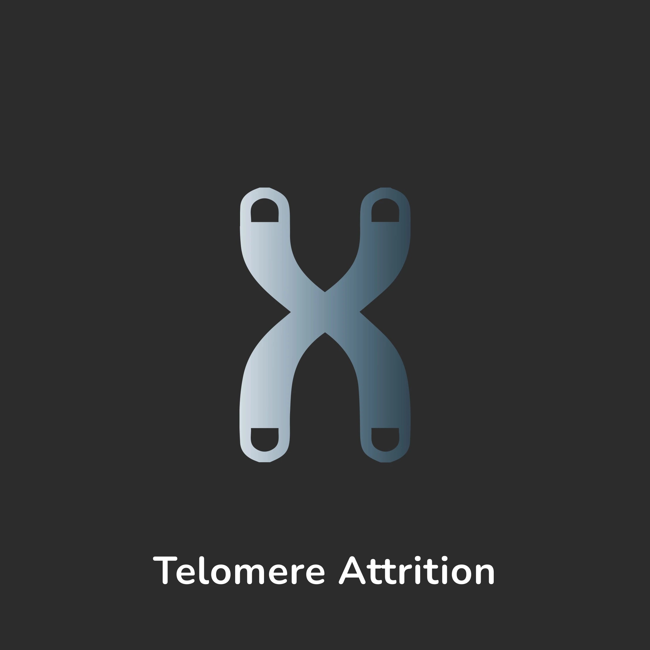 Telomere Attrition Cause of Aging
