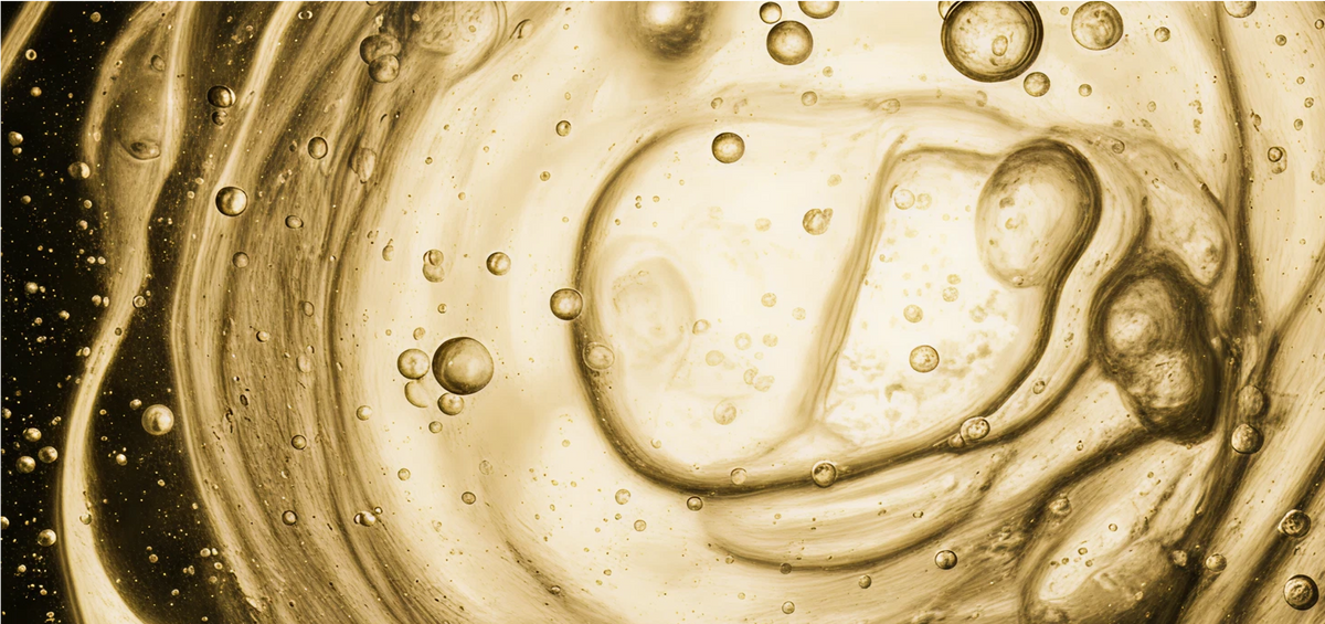Decode Age Dake MCT oil supporting energy metabolism, brain function, and nutrient absorption