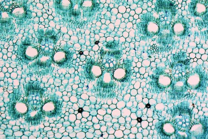 Functional Fibre Matrix