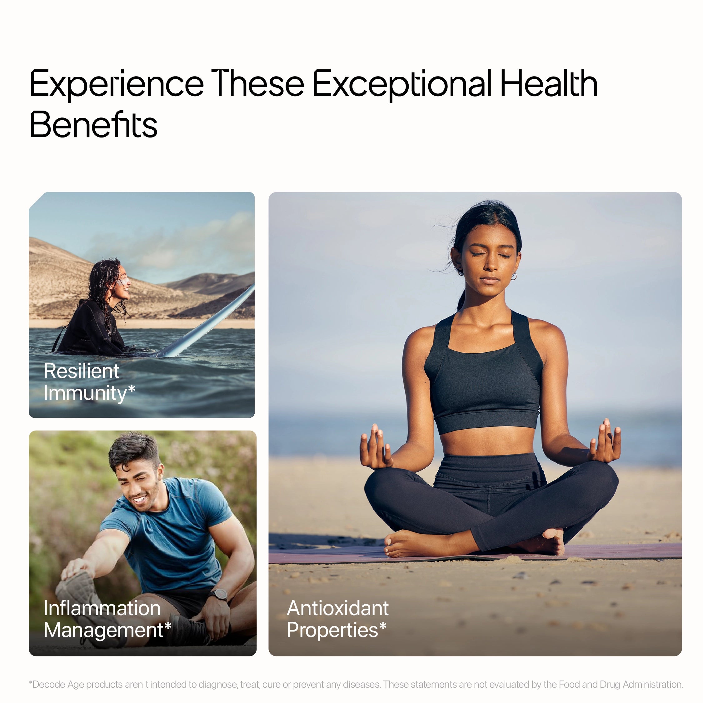 Monsoon Wellness Bundle
