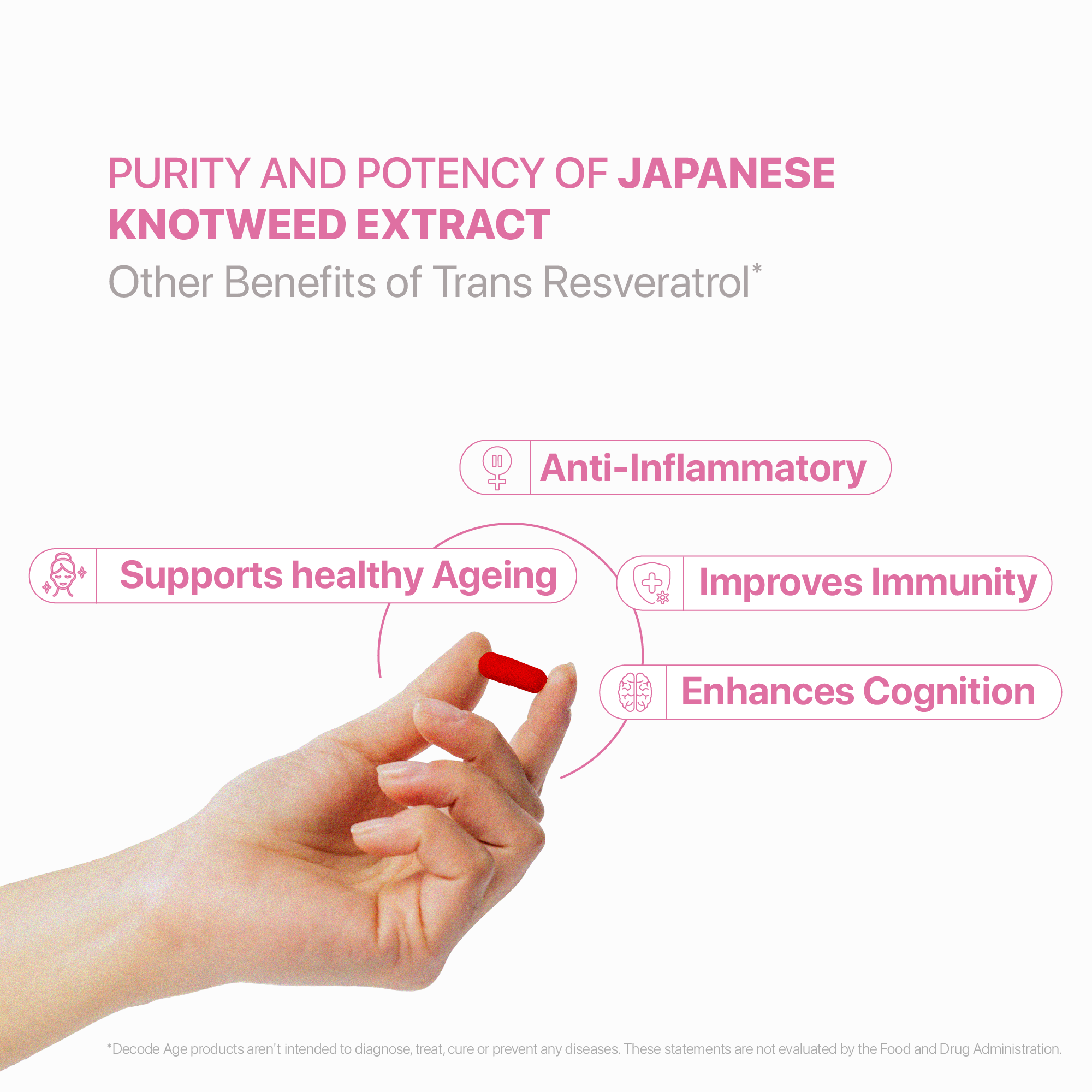 Trans Resveratrol | Japanese Knotweed Extract |250mg