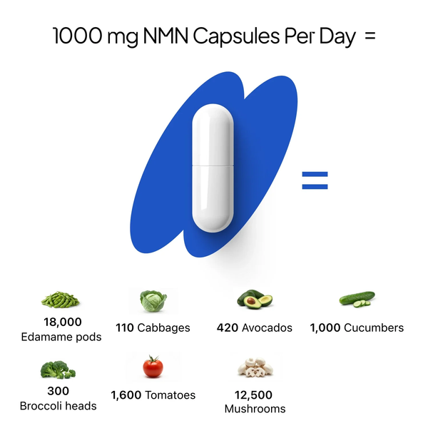β- NMN | Beta-Nicotinamide Mononucleotide | 1000mg