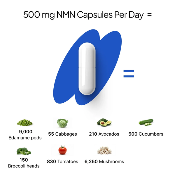 β- NMN | Beta-Nicotinamide Mononucleotide | 500mg