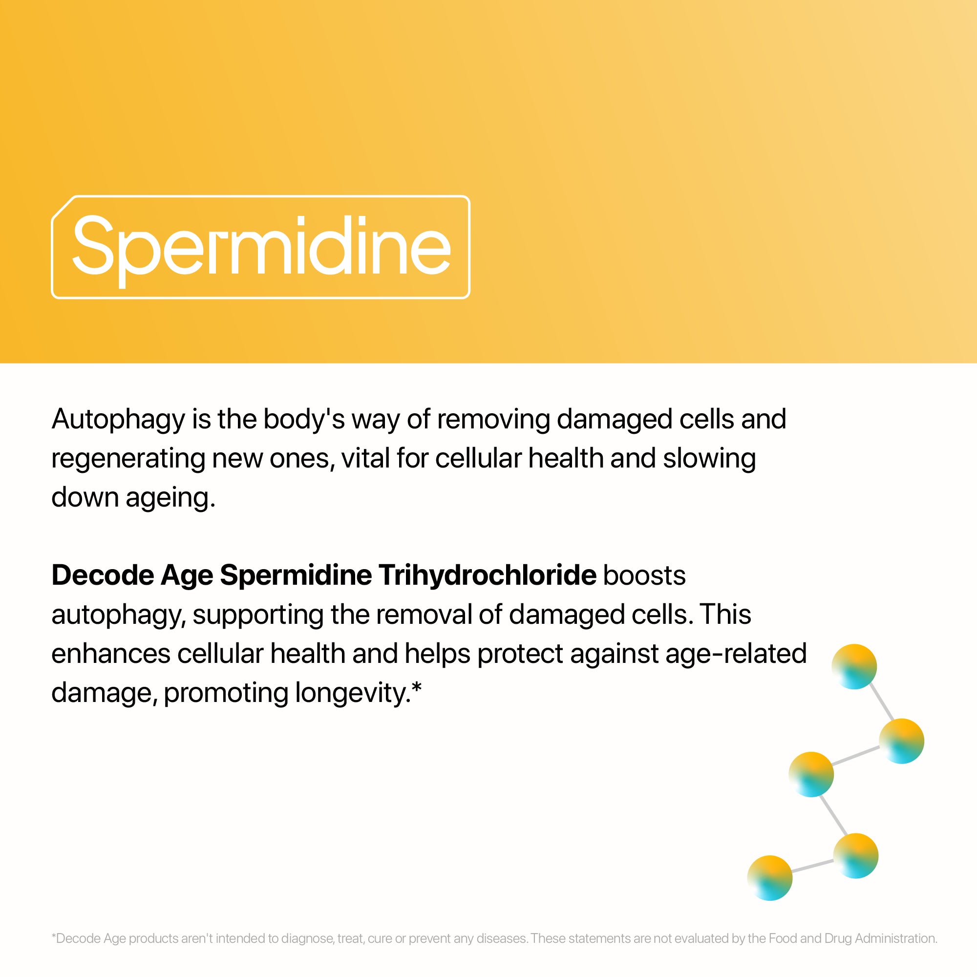 Spermidine Trihydrochloride