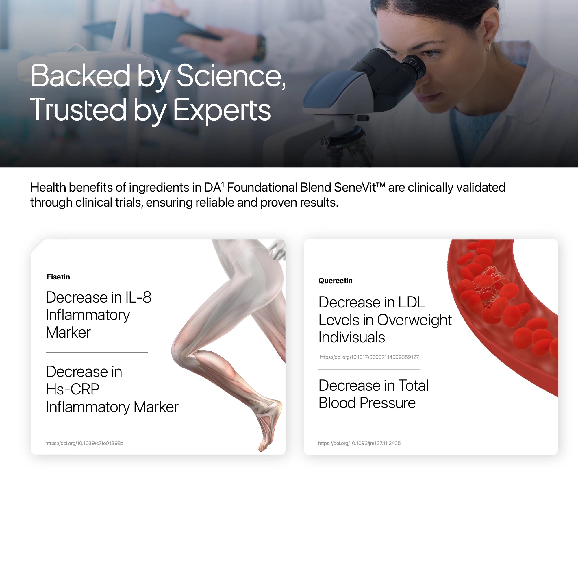 SeneVit™ | Decode Age Foundational Senolytic Activator Blend