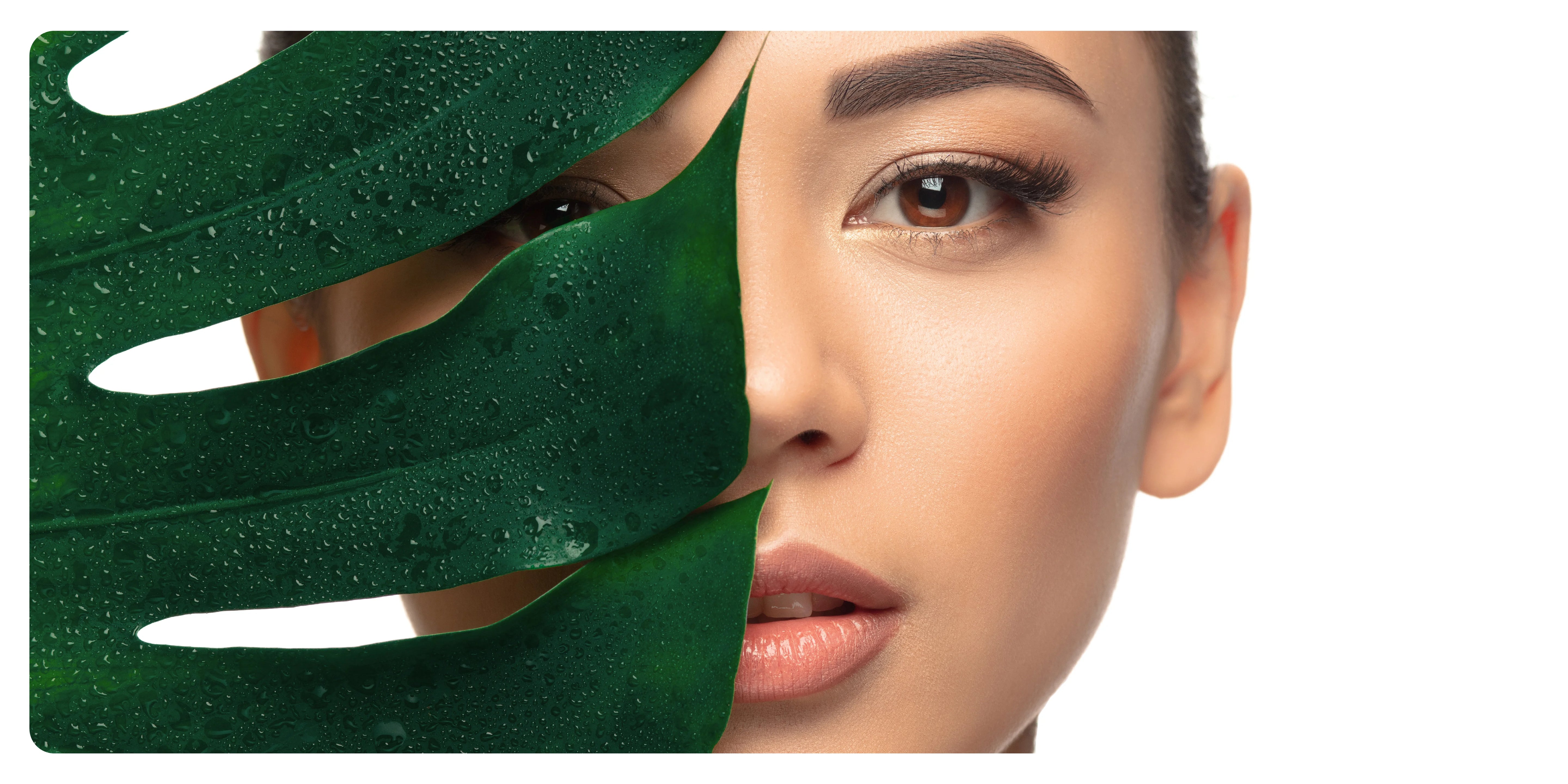 Decode BioAge Biological Age Test Decode Age